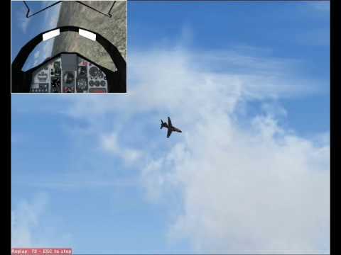 Hawk dance with the Millau Viaduct