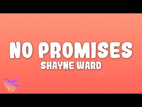Shayne Ward - No Promises