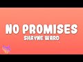 Shayne Ward No Promises