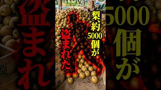 「もう梨作りは辞めます」2年連続で大量盗難…農家を絶望させた『果物泥棒』が問われる罪とは！？ #shorts