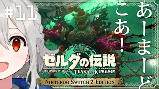 ˗ˋˏ  ゼルダの伝説 ティアーズ オブ ザ キングダム Nintendo Switch 2 Edition 初見プレイ #11  ˎˊ˗