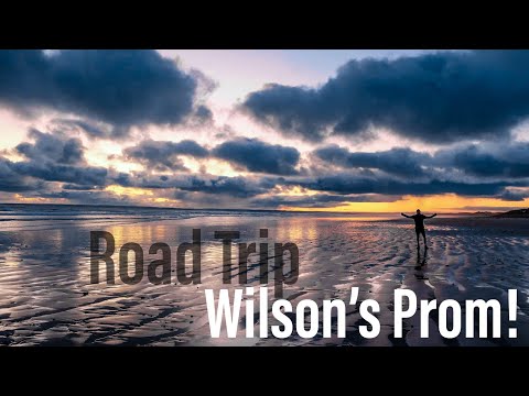 What To Do At Wilsons Prom? | Travel Vlog | EP6