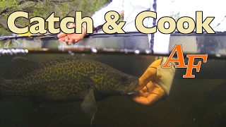Catch n Cook Bass fishing EP.348
