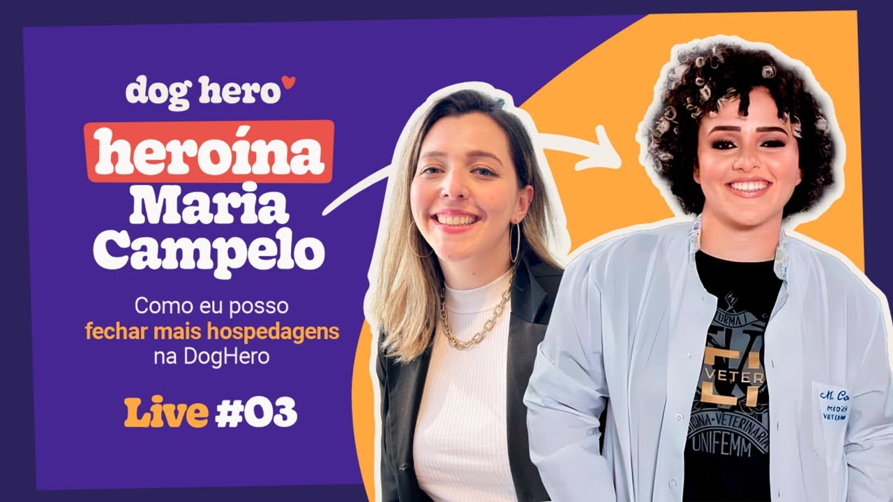 Como eu posso fechar mais hospedagens na DogHero | Live #03
