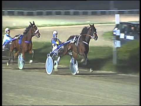 Trotto 28/01/2016 - 8° corsa TRIS