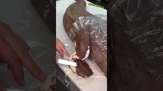 Download lagu Replika Roti Buaya Nyaris Sempurna #shorts mp3 Download lagu Replika Roti Buaya Nyaris Sempurna #shorts mp3