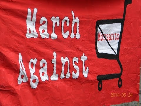 2014 05 24 March against Monsanto   Düsseldorf