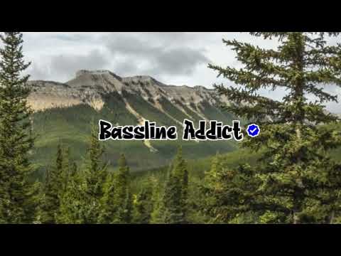 Swizzarboy - Nitrus Roller│BasslineAddict