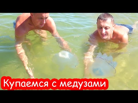 VLOG Нашествие медуз. Надя уезжает