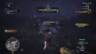 【MHW】仲良し兄弟でモンハンワールド【兄視点】裸装備ドスジャグラス編