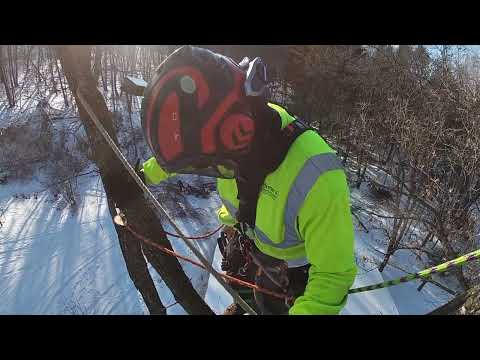 Tree Solo Climbing Techniques Discussed