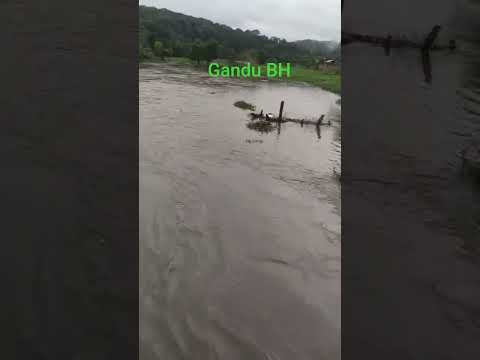 chuvas fortes em Gandu Bahia.