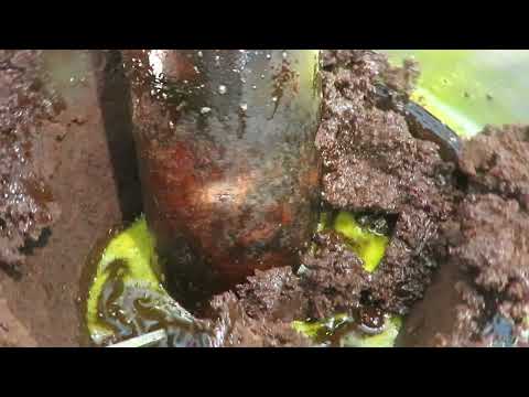 Cold Pressed Mustard Oil Making Bangalore - Mannus Farm Fresh