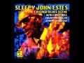 Everybody Oughta Make A Change / Sleepy John Estes
