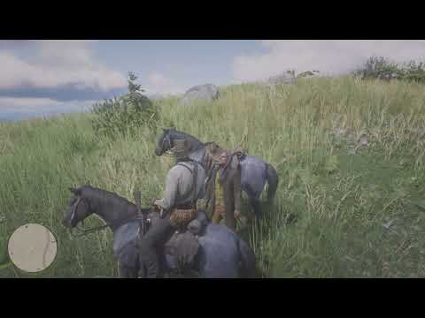 Red Dead Redemption 2 playthrough pt32