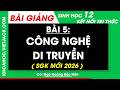 Bài giảng Sinh học 12 Bài 5. Công nghệ gene