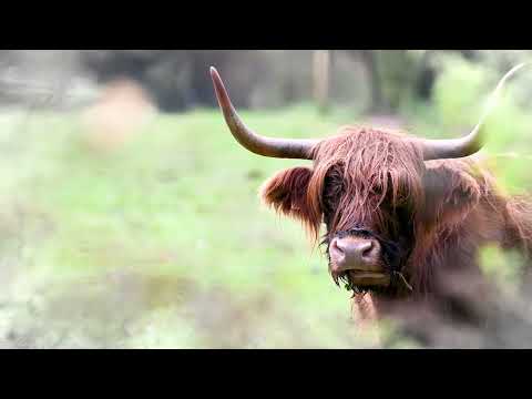 Pfälzer Geheimtipps - Landau - die grüne Stadt