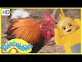 Teletubbies Everywhere English Episodes Feeding Chickens Portugal Full Episode S01E03 HD