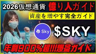 Sky×SKY 初心者向けガイド