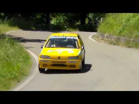34° Rally Casciana Terme 2016 (PS 2) Show + Mistake