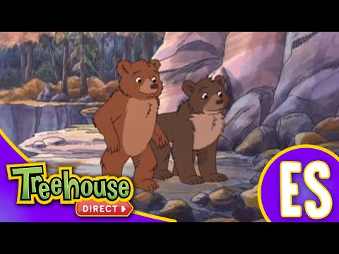 Little Bear: La Pelicula