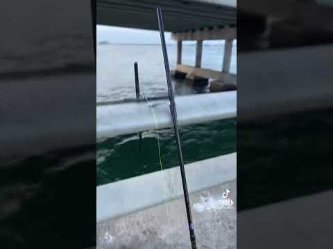 Penn rod broke down in 3 part #penn #fishing #rod