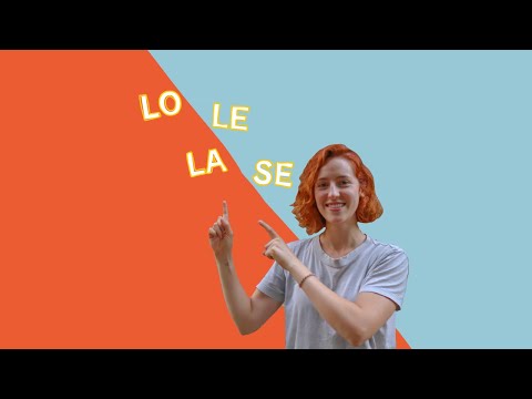 Objeto DIRECTO vs. Objeto INDIRECTO - ¿LO, LA, LE, SE?