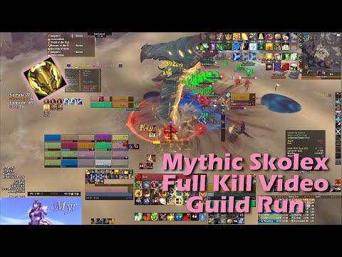 Mythic Skolex Full Kill Video - Protection Paladin PoV