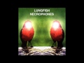 Lungfish - Infinite Daybreak