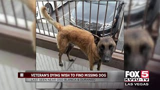Veteran&#39;s dying wish is to have dog returned