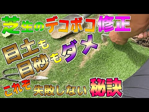 芝生を転がす:正しいやり方 トピックス