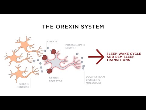 Driving Innovation for Narcolepsy Type 1 | Character Animation Explainer | Takeda Pharmaceutical