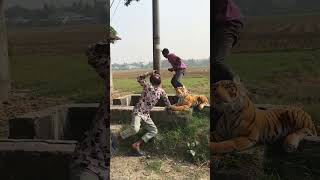 Fake Tiger Scary Prank Gone Wrong – Watch the EPIC Reactions! | #MrNafiz Brand #shortsvideo