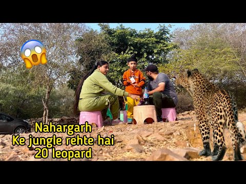 Aisi jagah ruk gaye jahan par wild animals aane ka khatra hota hai😱20 leopard rehte hai is jungle me