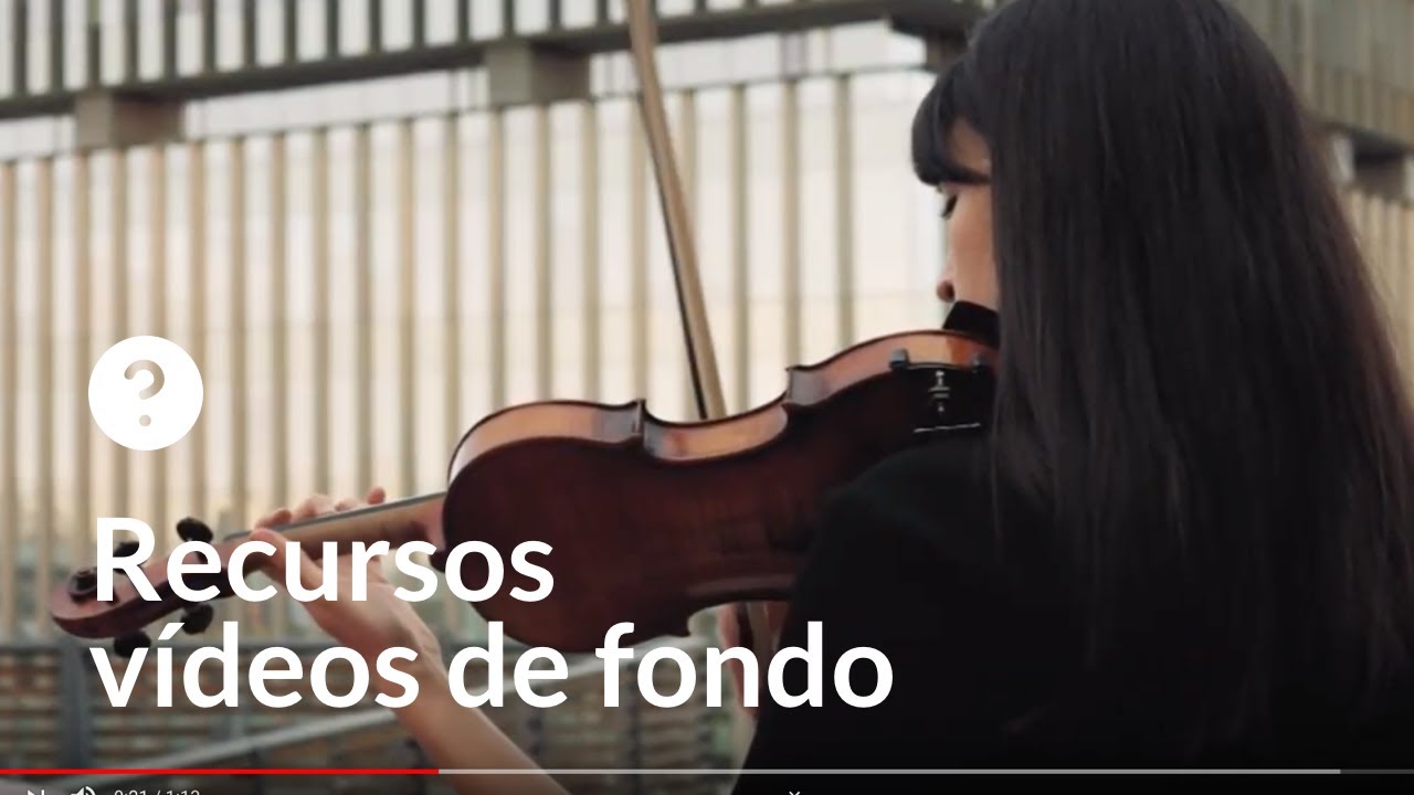 Violín