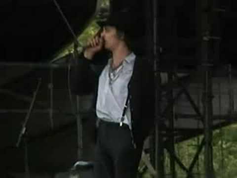 Pete Doherty and Babyshambles banned from Moonfest festival