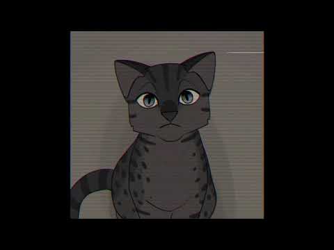 Hey Mom || Warriors OCs (Flash/Eyestrain Warning)