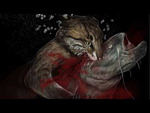 This Cat Is Evolving Into A Fish