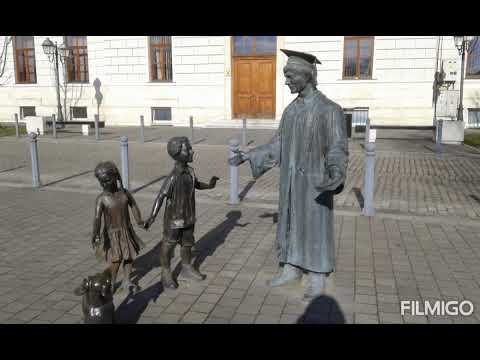 Universitatea "1 Decembrie 1918" (Alba Iulia) 📚 University "December 1, 1918" (Alba Iulia)