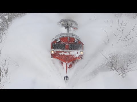 全検出場 DE15 2511他 宗谷ラッセル 2019.1.30～2.1