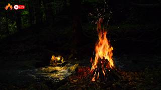 Midnight Campfire by the Stream | Pure Water & Wood Crackling to Cure Insomnia