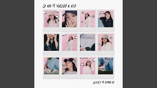 si no te vuelvo a ver