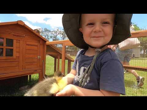 Splitters Farm Tours