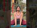 Simhasana Lion S Pose