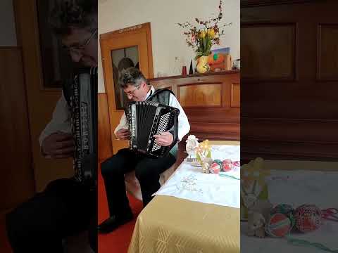Walzer auf dem Borsini Knopf Akkordeon...