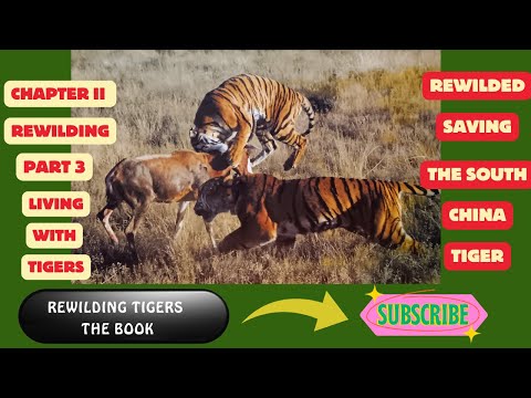 Rewilded Saving the South China Tiger Chapter 2. Part Three - Living With Tigers