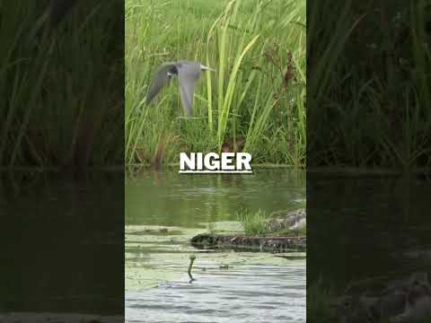 #top 10 countries have Worst Water Quality #shorts