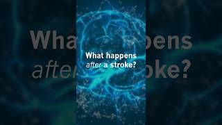 What happens after a stroke?