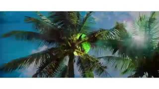 AB Quintanilla III &amp; Elektro Kumbia - Pina Colada