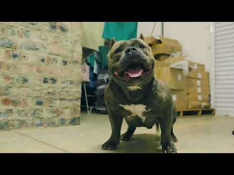 Another DHK production in the making..